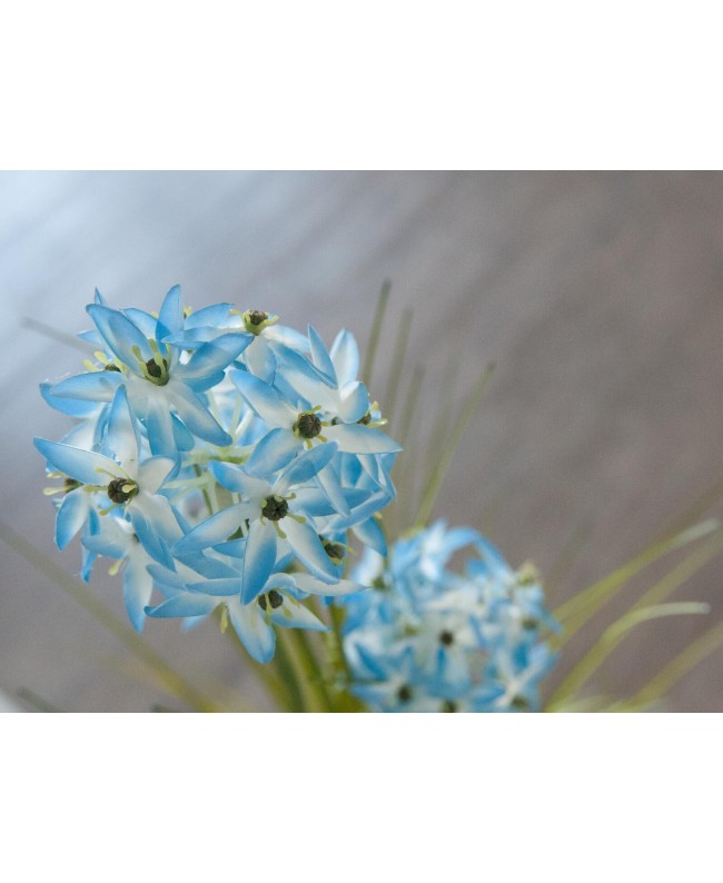 Europalms Erba Allium, pianta artificiale, blu, 120 cm Fiori & piante