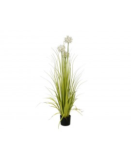 Europalms Allium grass, artificial plant, white, 120 cm Flowers & Plants