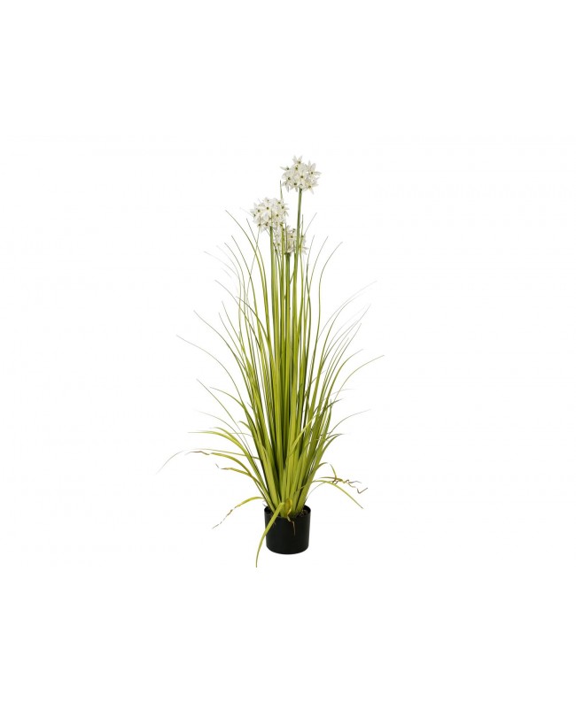 Europalms Allium grass, artificial plant, white, 120 cm Flowers & Plants