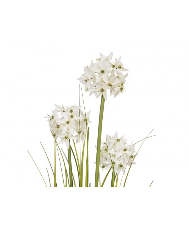 Europalms Allium grass, artificial plant, white, 120 cm Flowers & Plants