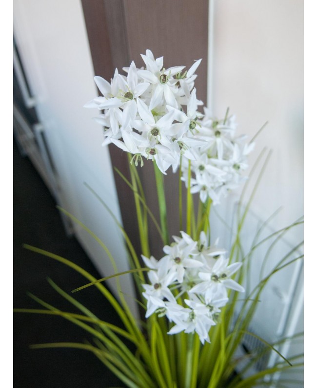 Europalms Erba Allium, pianta artificiale, bianca, 120 cm Fiori & piante