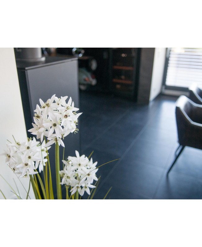 Europalms Allium grass, artificial plant, white, 120 cm Flowers & Plants