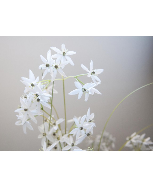 Europalms Erba di gelsomino, pianta artificiale, bianco, 130 cm Fiori & piante