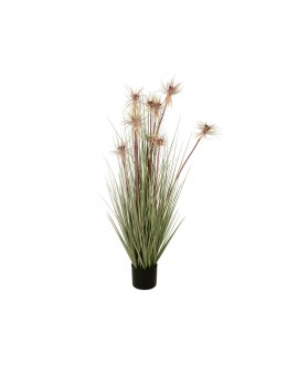 Europalms Sunny grass, artificial plant, 120 cm Flowers & Plants