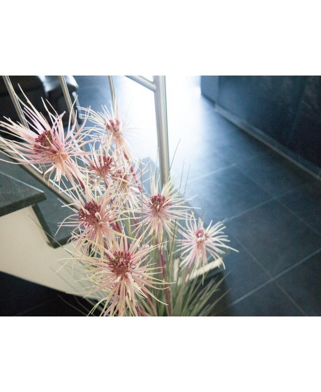 Europalms Sunny-Gras, Kunstpflanze, 120 cm Blumen & Pflanzen