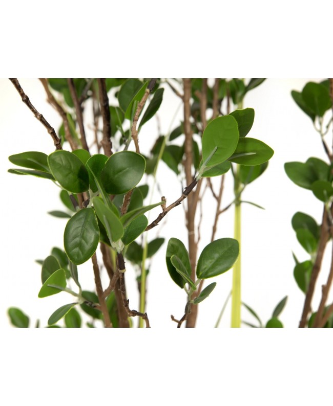 Europalms Evergreen shrub with grass, artificial plant, 120cm Fiori & piante