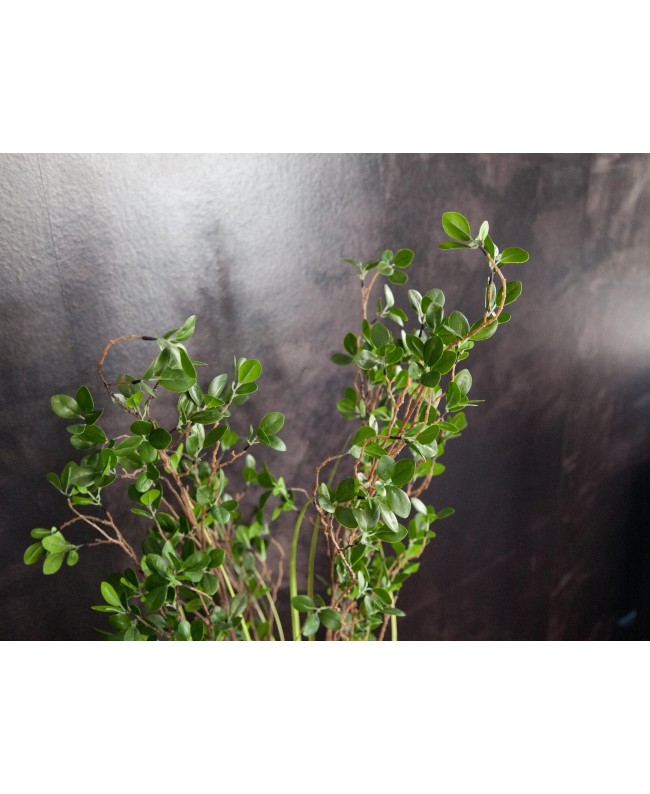 Europalms Immergrünstrauch mit Gras, Kunstpflanze, 152 cm Blumen & Pflanzen