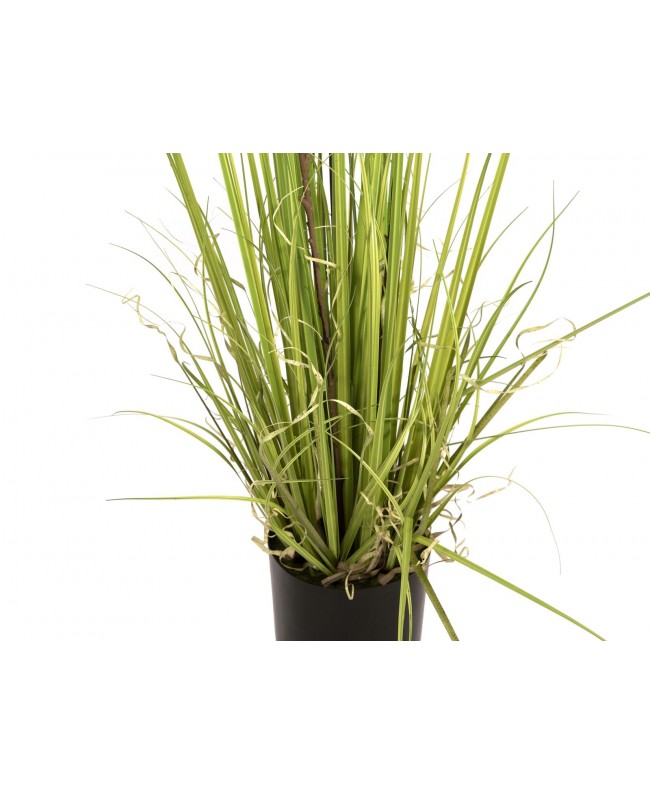 Europalms Evergreen shrub with grass, artificial plant, 182cm Flowers & Plants