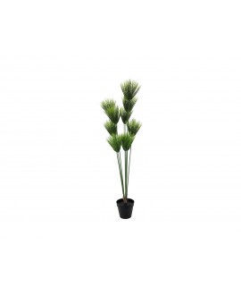 Europalms Papyrus plant, artificial, 150cm Fiori & piante