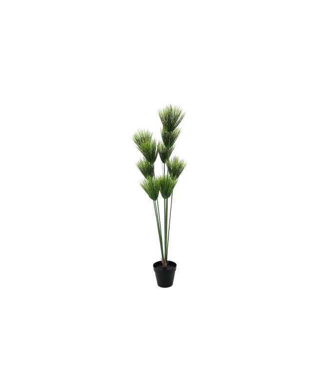 Europalms Papyrus plant, artificial, 150cm Fiori & piante