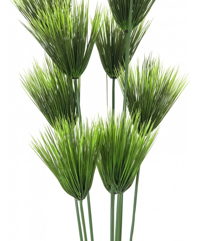 Europalms Papyrus plant, artificial, 150cm Flowers & Plants