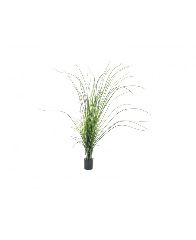 Europalms Reed (grass), artificial, 145cm Flowers & Plants