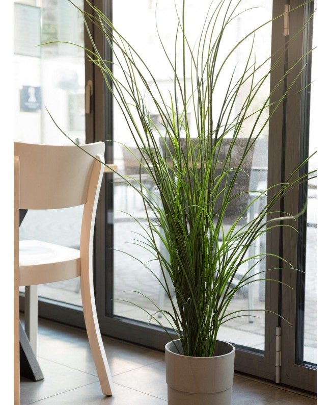 Europalms Schilfgras, künstlich, 145cm Blumen & Pflanzen