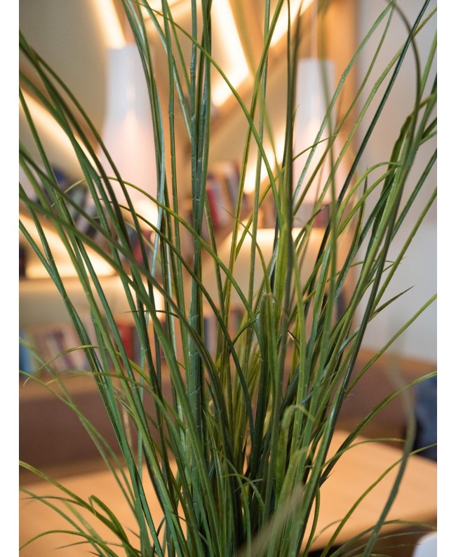 Europalms Schilfgras, künstlich, 145cm Blumen & Pflanzen