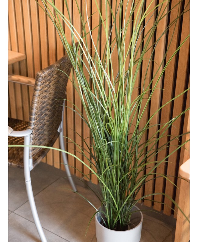Europalms Reed (grass), artificial, 145cm Flowers & Plants