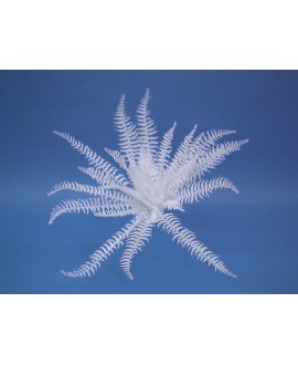 Europalms Dekofarn zum Selbstfärben, künstlich, 60cm Blumen & Pflanzen