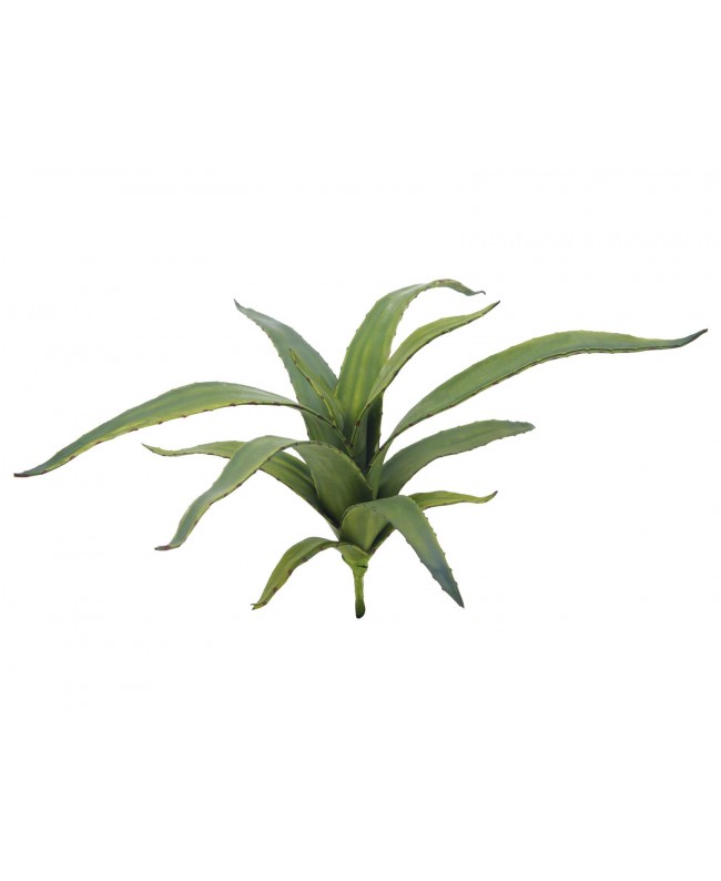 Europalms Aloe (EVA), artificial, green, 66cm Flowers & Plants