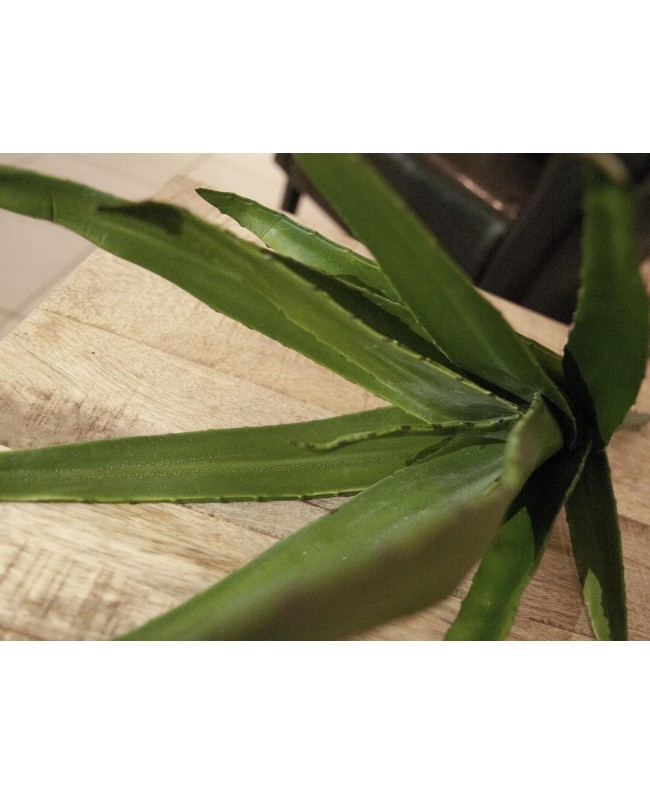 Europalms Aloe (EVA), künstlich, grün, 66cm Blumen & Pflanzen