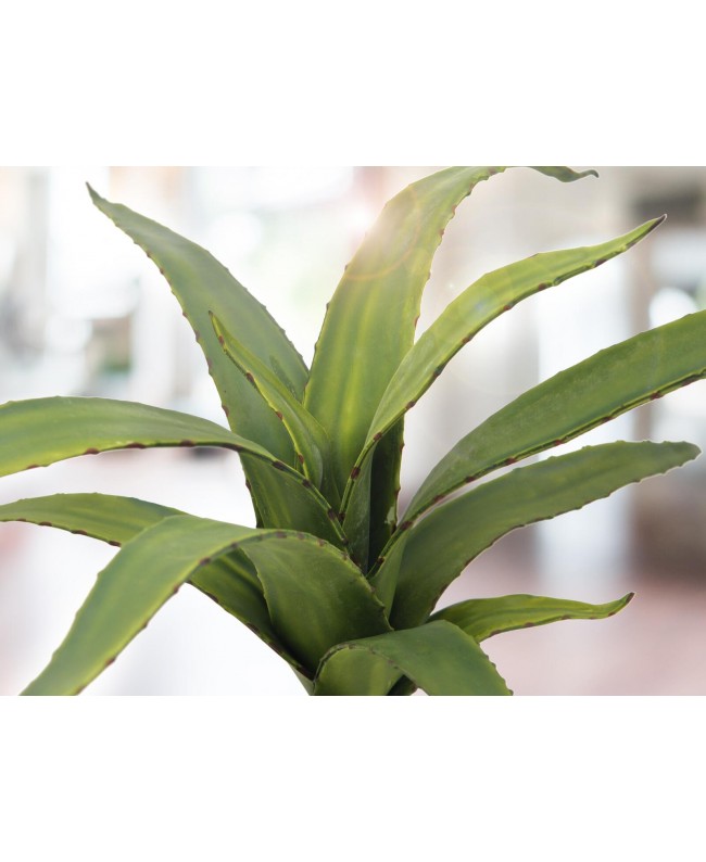 Europalms Aloe (EVA), artificial, green, 66cm Flowers & Plants