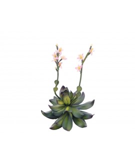 Europalms Steinrose (EVA), Kunstpflanze, pink, 32cm Blumen & Pflanzen