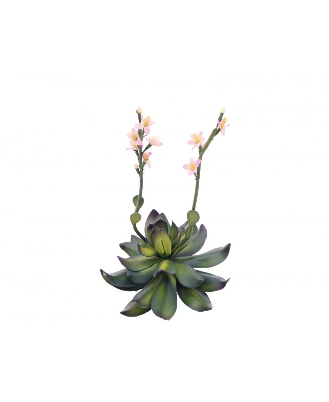Europalms Houseleeks (EVA), artificial plant, pink, 32cm Fiori & piante