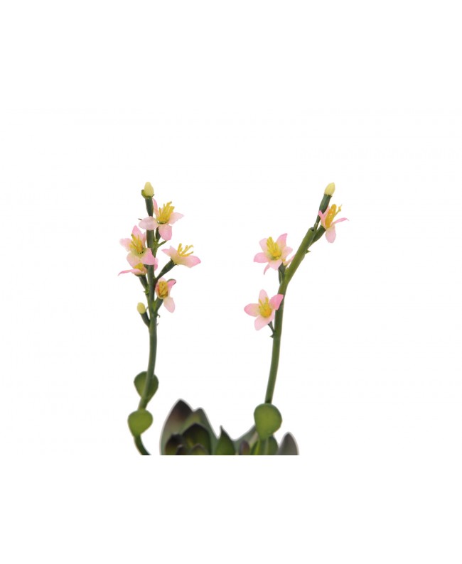 Europalms Houseleeks (EVA), artificial plant, pink, 32cm Flowers & Plants