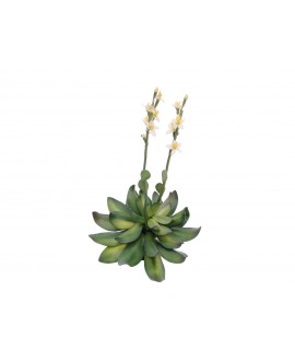 Europalms Houseleeks (EVA), artificial plant, yellow, 32cm