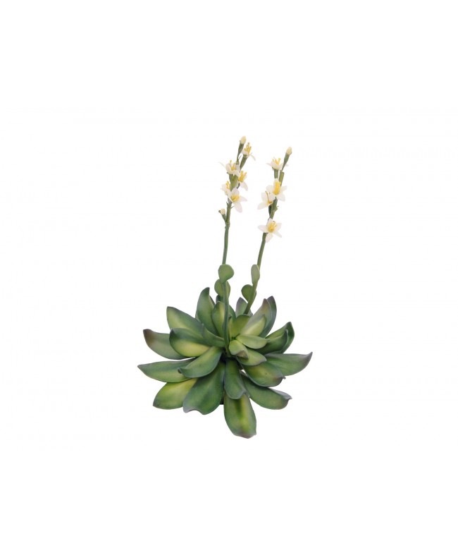 Europalms Houseleeks (EVA), artificial plant, yellow, 32cm