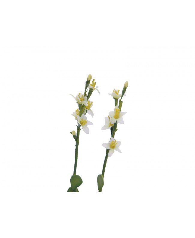 Europalms Houseleeks (EVA), artificial plant, yellow, 32cm