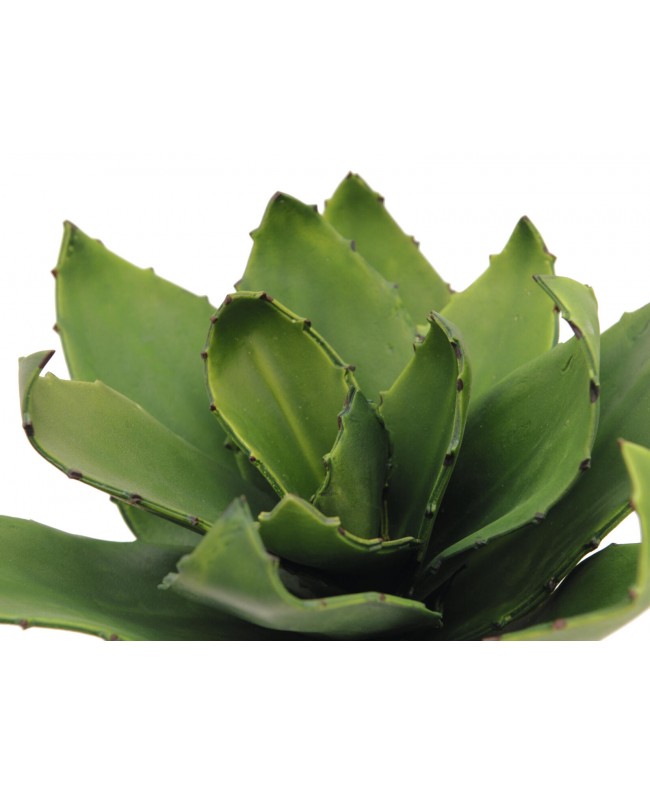 Europalms Agave (EVA), künstlich, grün, 35cm