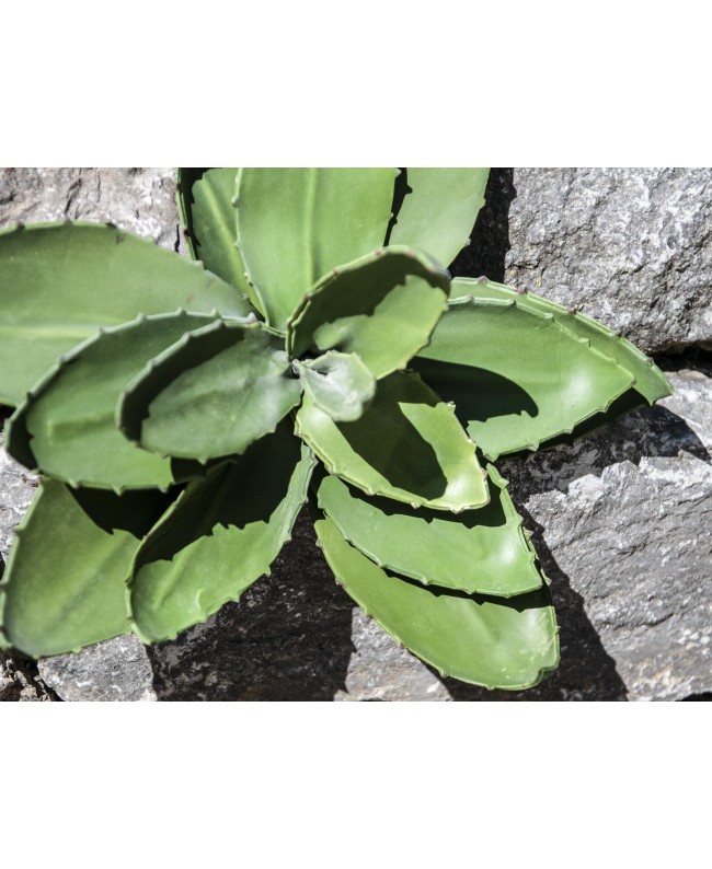 Europalms Agave (EVA), künstlich, grün, 35cm