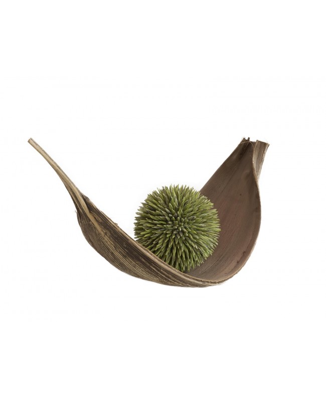 Europalms Sukkulenten Kugel (EVA), Kunstpflanze, grün, 20cm