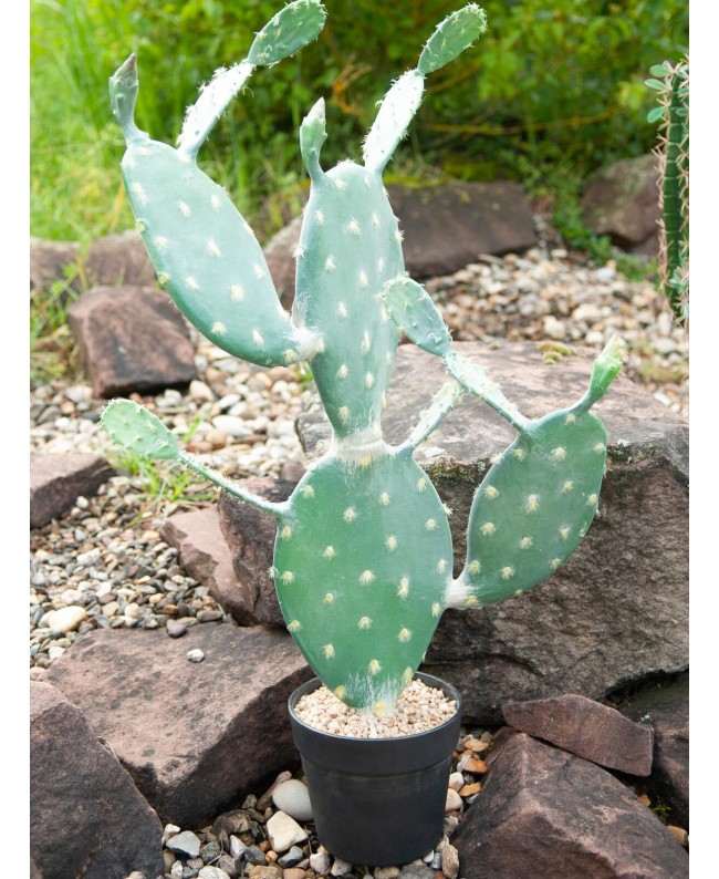 Europalms Nopal cactus, artificial plant, 76cm