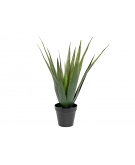Europalms Aloe Vera Plant, artificial plant, 60cm Flowers & Plants