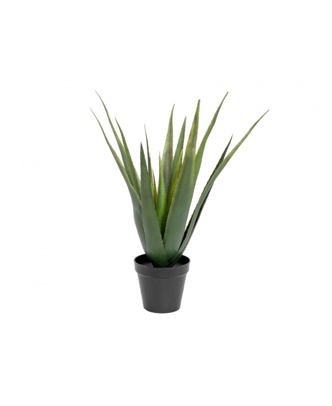 Europalms Aloe Vera Plant, artificial plant, 60cm