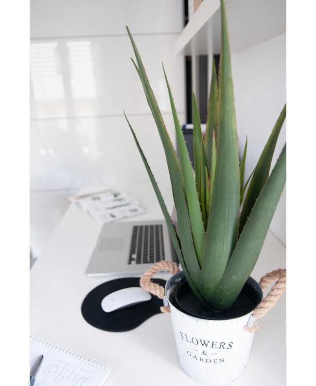 Europalms Aloe Vera Plant, artificial plant, 60cm