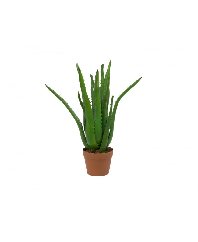 Europalms Aloe Vera Plant, artificial plant, 63cm