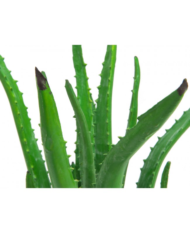 Europalms Aloe-Vera-Pflanze, Kunstpflanze, 63cm
