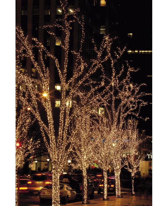 SHOWTEC LED Rubber Static String Light WW White - 100 LEDs - 10 m