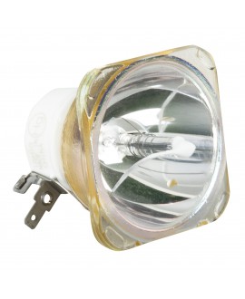 USHIO NSL300 Replacement lamp for Phantom 12R and Furion B402 Beam Discharge Bulbs