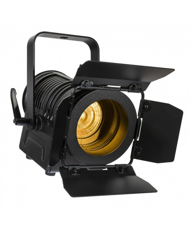 Briteq BT-THEATRE 20 W W (BLACK) Fresnel