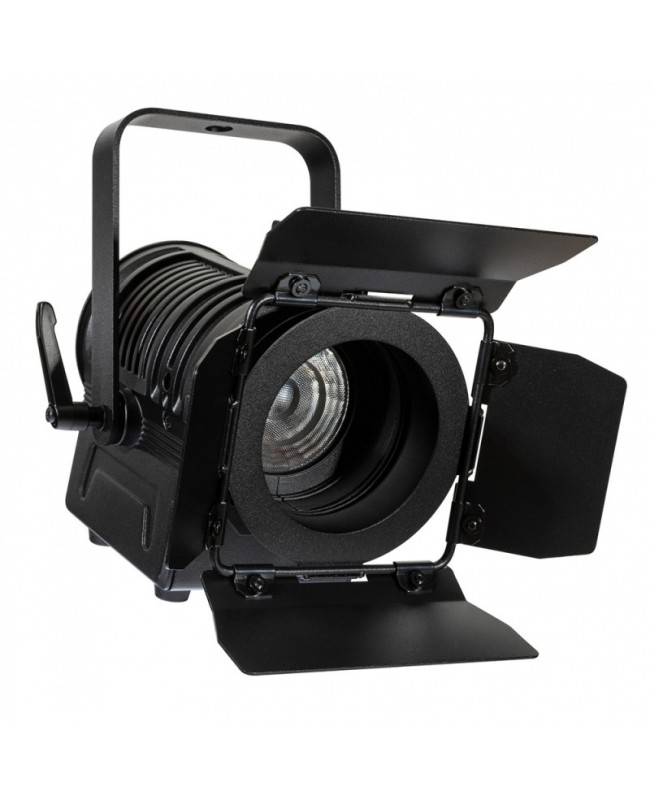 Briteq BT-THEATRE 20 W W (SCHWARZ) Fresnel