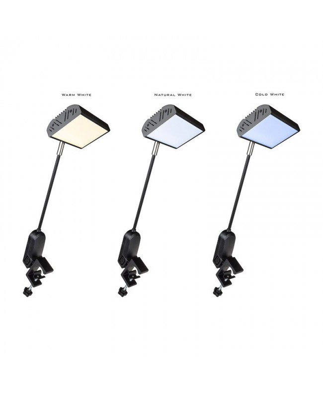 Briteq BT-BOOTHLITE 35TW Flood & Softlights